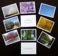 /album/ukazky-z-dilny-anita-invence/p1140025-jpg/